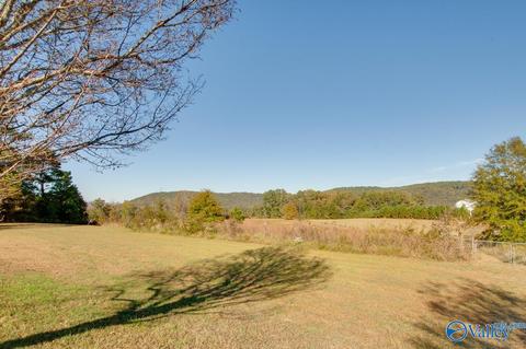 395 Walker Rd, Grant, AL 35747 photo 11