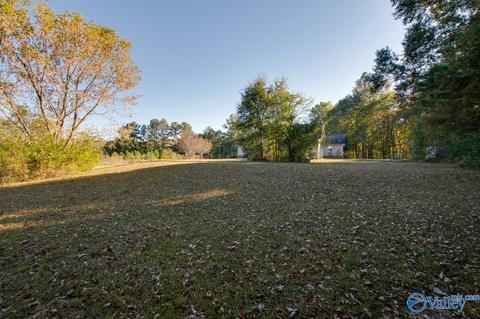 395 Walker Rd, Grant, AL 35747 photo 44