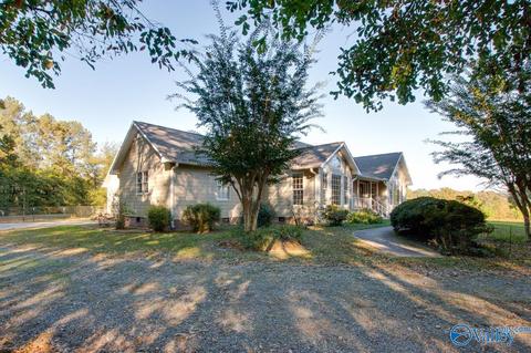 395 Walker Rd, Grant, AL 35747 photo 47