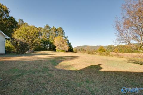 395 Walker Rd, Grant, AL 35747 photo 27