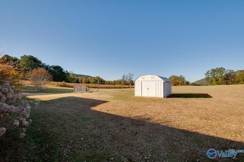 397 Walker Rd, Grant, AL 35747 photo 25