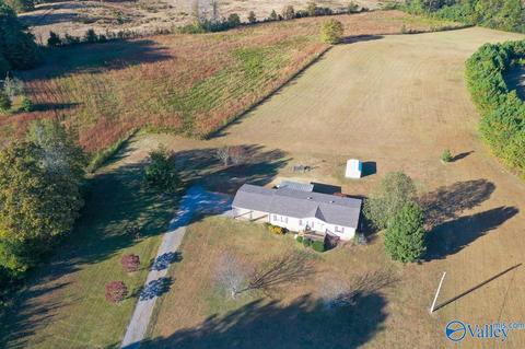 397 Walker Rd, Grant, AL 35747 photo 34