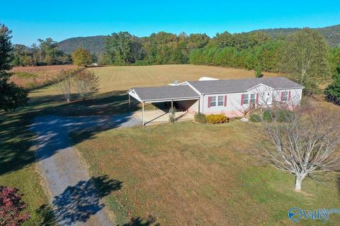 397 Walker Rd, Grant, AL 35747 photo 33