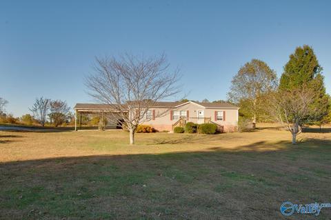 397 Walker Rd, Grant, AL 35747 photo 29