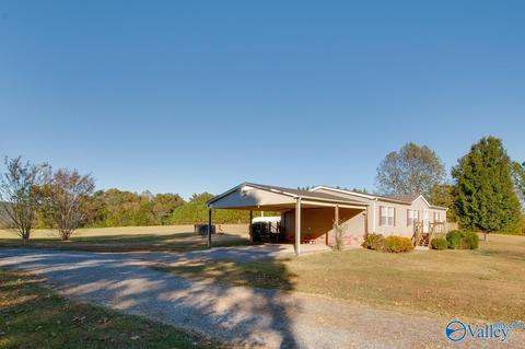 397 Walker Rd, Grant, AL 35747 photo 2