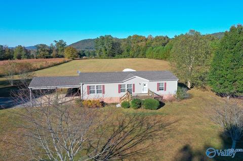 397 Walker Rd, Grant, AL 35747 photo 32