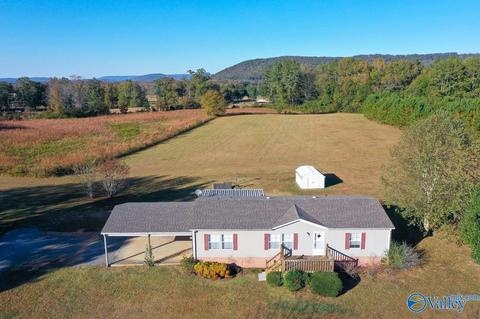397 Walker Rd, Grant, AL 35747 photo 1