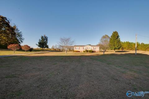 397 Walker Rd, Grant, AL 35747 photo 30