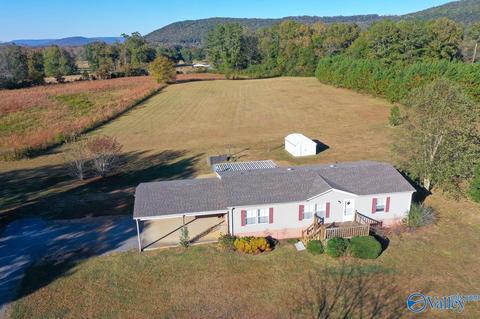 397 Walker Rd, Grant, AL 35747 photo 37