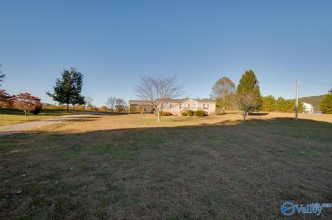 397 Walker Rd, Grant, AL 35747 photo 28