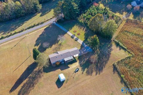 397 Walker Rd, Grant, AL 35747 photo 8
