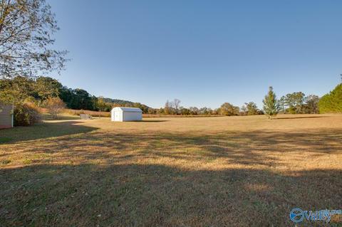 397 Walker Rd, Grant, AL 35747 photo 26