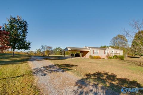 397 Walker Rd, Grant, AL 35747 photo 27