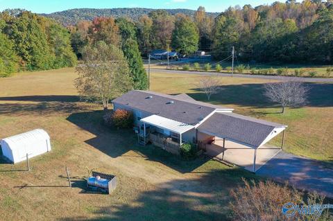 397 Walker Rd, Grant, AL 35747 photo 36