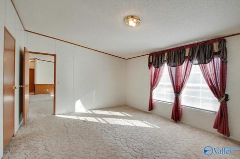 397 Walker Rd, Grant, AL 35747 photo 18