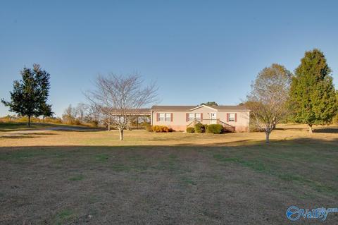 397 Walker Rd, Grant, AL 35747 photo 31