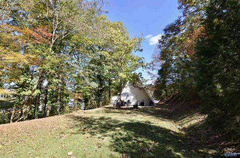 75 Mohawk Trl, Ohatchee, AL 36271 photo 19
