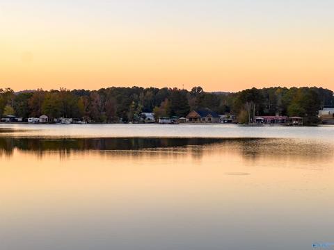 75 Mohawk Trl, Ohatchee, AL 36271 photo 20