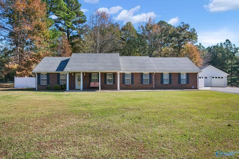 170 County Road 358, Trinity, AL 35673 photo 1