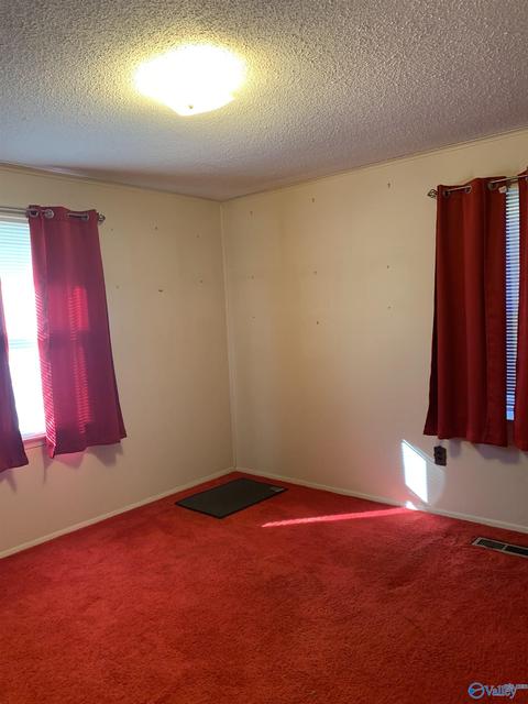6409 County Road 434, Trinity, AL 35673 photo 13