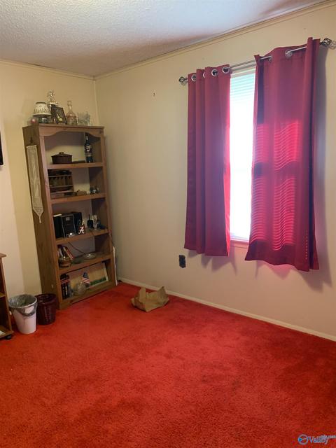 6409 County Road 434, Trinity, AL 35673 photo 12