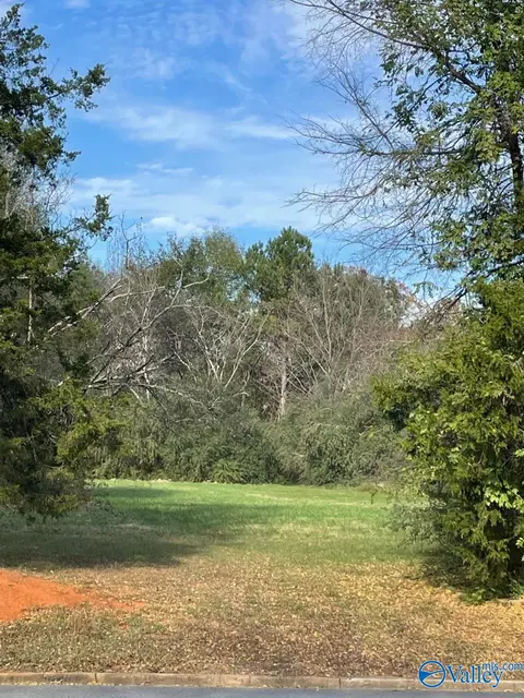 lot Byler Rd, Moulton, AL 35650