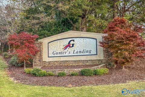20 Gl Ridge Cir, Guntersville, AL 35976