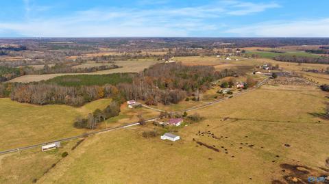 3818 County Road 120, Section, AL 35771 photo 3