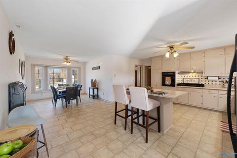 3818 County Road 120, Section, AL 35771 photo 8