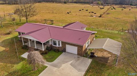 3818 County Road 120, Section, AL 35771 photo 2