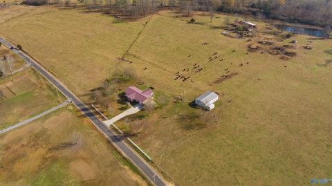 3818 County Road 120, Section, AL 35771 photo 1