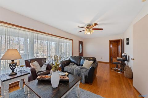 3818 County Road 120, Section, AL 35771 photo 17