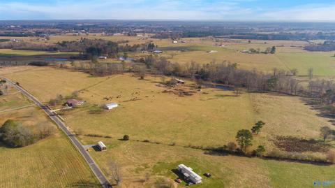 3818 County Road 120, Section, AL 35771 photo 26