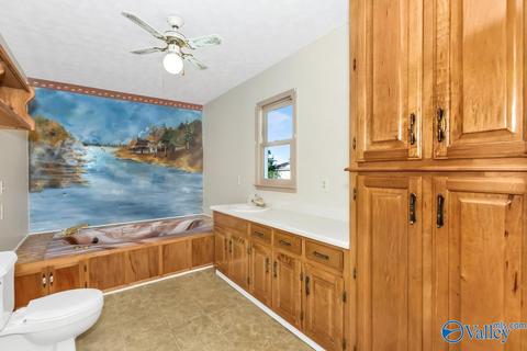 209 Peck Sutton Rd, Grant, AL 35747 photo 22