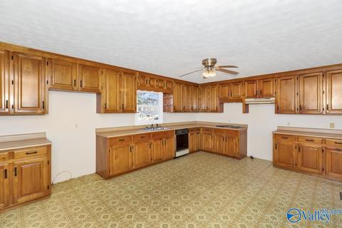209 Peck Sutton Rd, Grant, AL 35747 photo 11