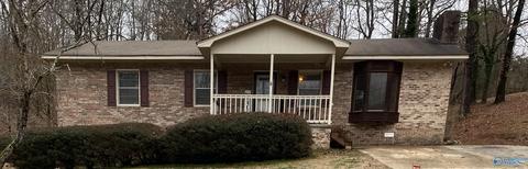 232 Brent St, Hamilton, AL 35570 photo 1