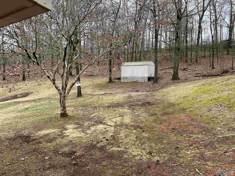 232 Brent St, Hamilton, AL 35570 photo 10