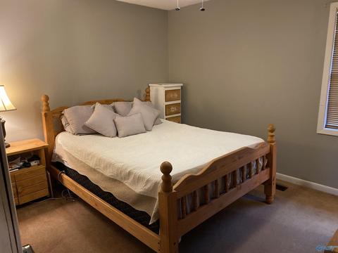 232 Brent St, Hamilton, AL 35570 photo 26