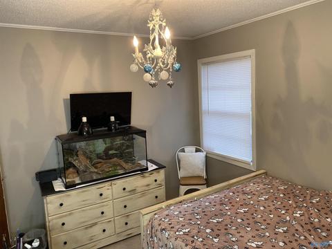 232 Brent St, Hamilton, AL 35570 photo 32
