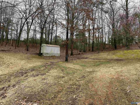 232 Brent St, Hamilton, AL 35570 photo 11