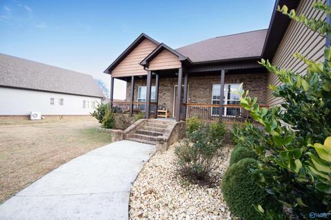 91 Lashae Loop, Grant, AL 35747 photo 37