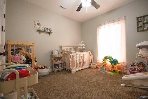 91 Lashae Loop, Grant, AL 35747 photo 31