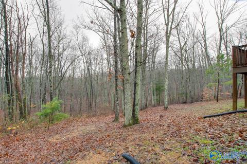 620 Mini Farm Rd, Grant, AL 35747 photo 47