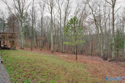 620 Mini Farm Rd, Grant, AL 35747 photo 46