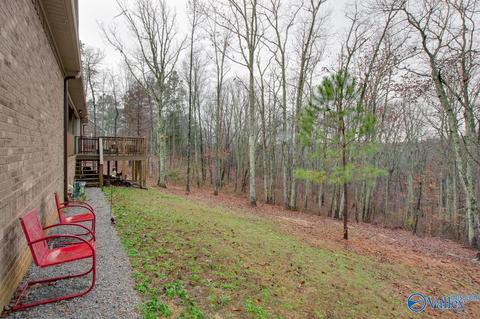 620 Mini Farm Rd, Grant, AL 35747 photo 45