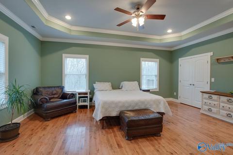 620 Mini Farm Rd, Grant, AL 35747 photo 28