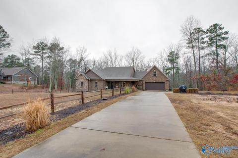620 Mini Farm Rd, Grant, AL 35747 photo 3