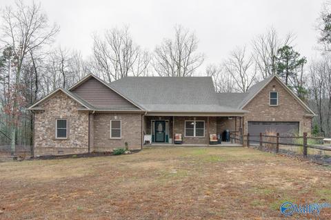 620 Mini Farm Rd, Grant, AL 35747 photo 1