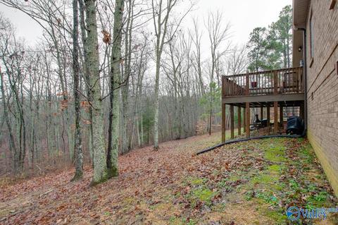 620 Mini Farm Rd, Grant, AL 35747 photo 48