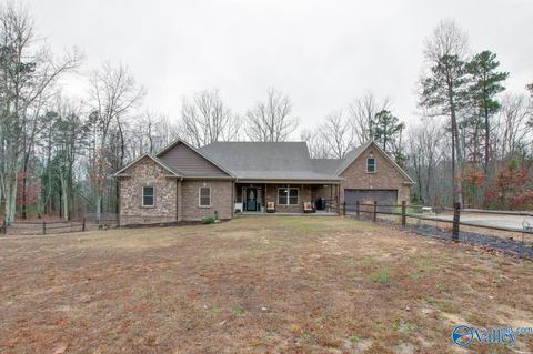 620 Mini Farm Rd, Grant, AL 35747 photo 6
